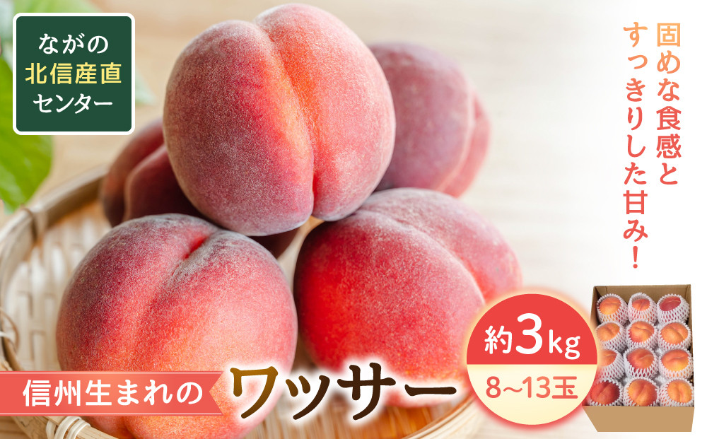2026年発送　長野市産　ワッサー　約3kg |  桃 もも モモ フルーツ 果物 旬 人気 おすすめ  送料無料  長野県 長野市 信州 信濃 ふるさと納税