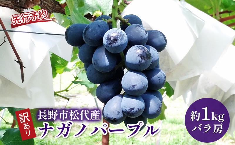 高野農園　ぶどう  訳あり 長野市松代産 ナガノパープル 約1kg バラ房 果物 ブドウ 葡萄 フルーツ デザート おやつ 種なし TAKANO農園 信州 |  ナガノパープル 訳あり 人気 おすすめ 産地直送  送料無料  長野県 長野市 信州 信濃 ふるさと納税