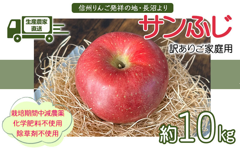 ヤーミーズファーム　生産農家直送 人にやさしい 長沼りんご・サンふじ10kg（訳ありご家庭用） |  りんご 林檎 フルーツ 果物 サンふじ 訳あり 家庭用 長沼 農園 おすすめ 人気 送料無料 長野県 長野市 信州 信濃 ふるさと納税