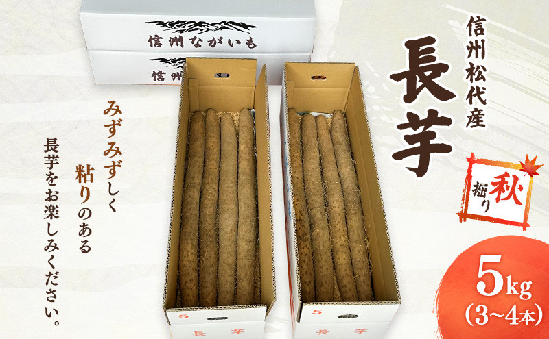熊原果樹園　長芋（秋堀り）5kg | 長いも 野菜 根菜 とろろ シャキシャキ 食感 粘り 松代産  特産品 人気 おすすめ 送料無料 長野県 長野市 信州 信濃 ふるさと納税