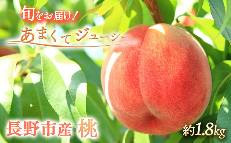 矢島農園　 長野市産 桃1.8kg(6～11個)【2026年7月上旬頃～発送予定】 | 桃 フルーツ 果実  人気 おすすめ ギフト プレゼント 送料無料 長野県 長野市 信州 信濃 ふるさと納税