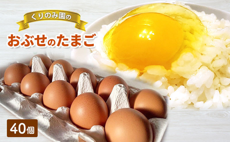 おぶせのたまご 40個 |  たまご 卵 鶏 鶏卵 人気 おすすめ  送料無料  長野県 長野市 信州 信濃 ふるさと納税