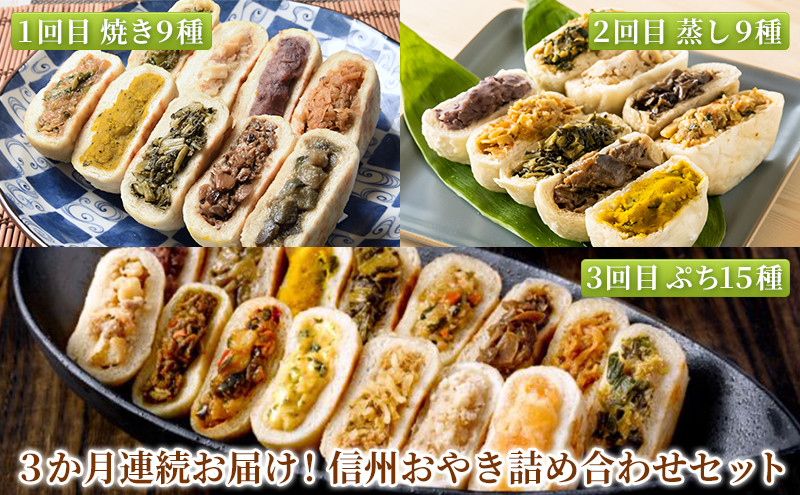 【定期便】3か月連続お届け！信州おやき 詰め合わせ セット【1回目】9種 詰合わせ（ 焼きタイプ ）【2回目】9種 詰合わせ（ 蒸しタイプ ）【3回目】ぷちおやき15種詰合わせ（小さいおやき） | おやき 名物 惣菜 野沢菜 きのこ やさい ポテト あんこ なす 切干大根 かぼちゃ トマト チーズ カレー 春雨 りんご ギフト 人気 おすすめ 送料無料 長野県 長野市 信州 信濃 ふるさと納税