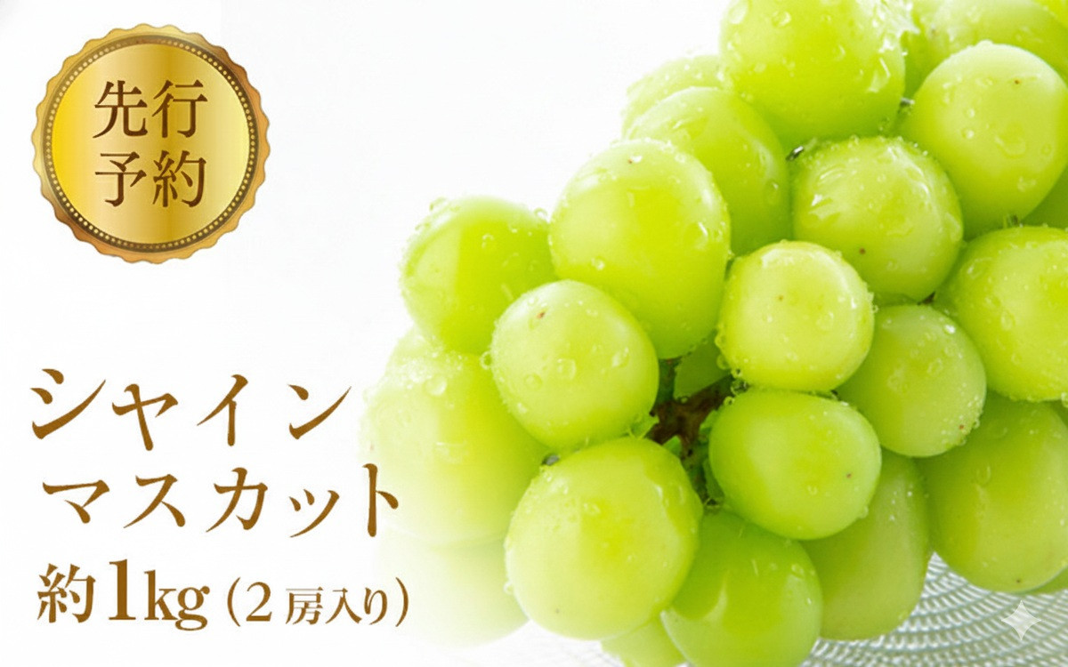 2026年産 ぶどう  シャインマスカット 約1kg 2房入り 葡萄 ブドウ シャイン マスカット 果物 フルーツ デザート おやつ 種なし 信州 2026年秋発送 |  葡萄 ブドウ シャイン マスカット 果物 フルーツ デザート 種なし フルーツ 果物 人気 おすすめ  送料無料  長野県 長野市 信州 信濃 ふるさと納税