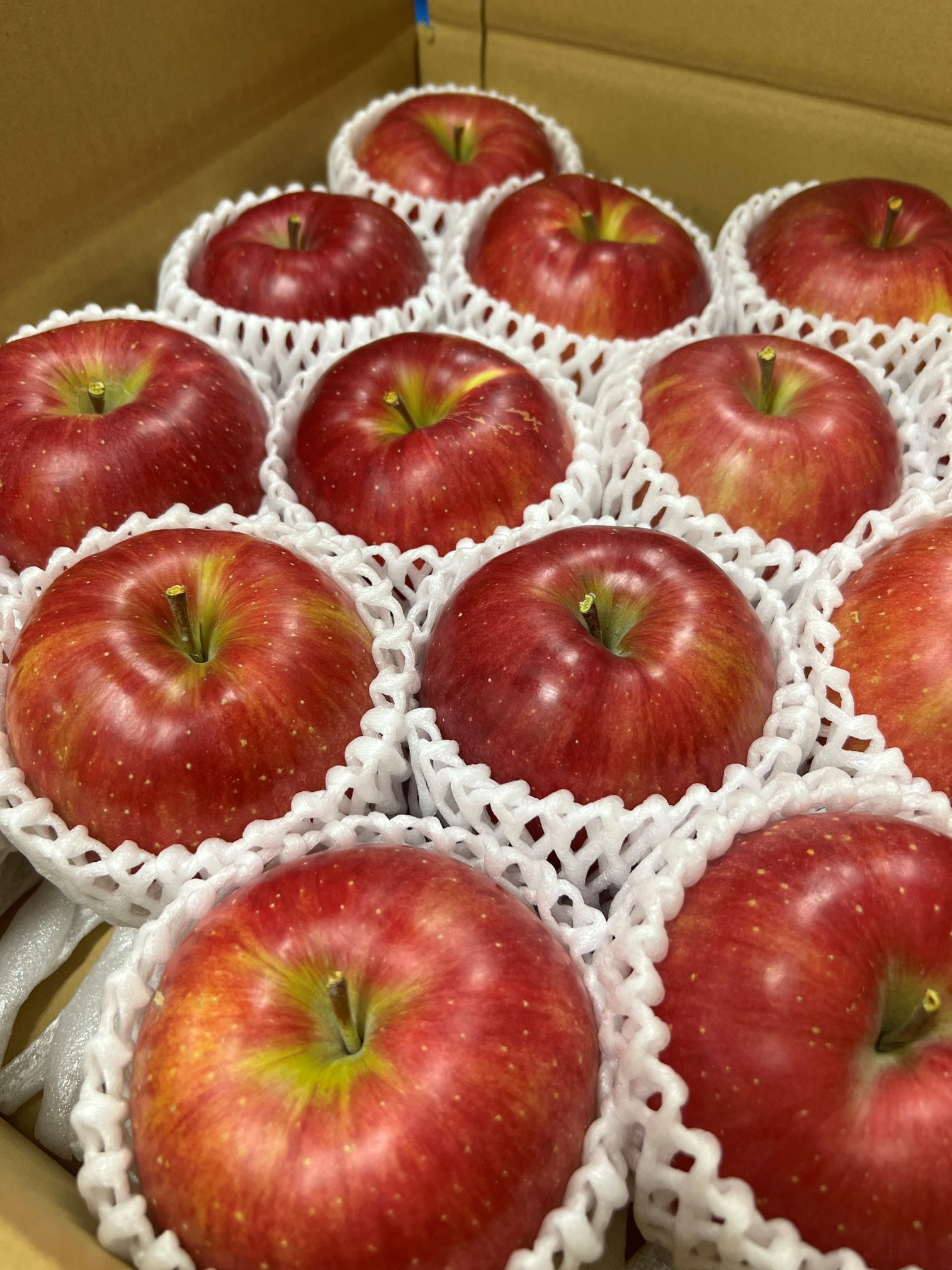 シナノスイート3kg | りんご フルーツ 果物 人気 おすすめ ギフト プレゼント 送料無料 長野県 長野市 信州 信濃 ふるさと納税