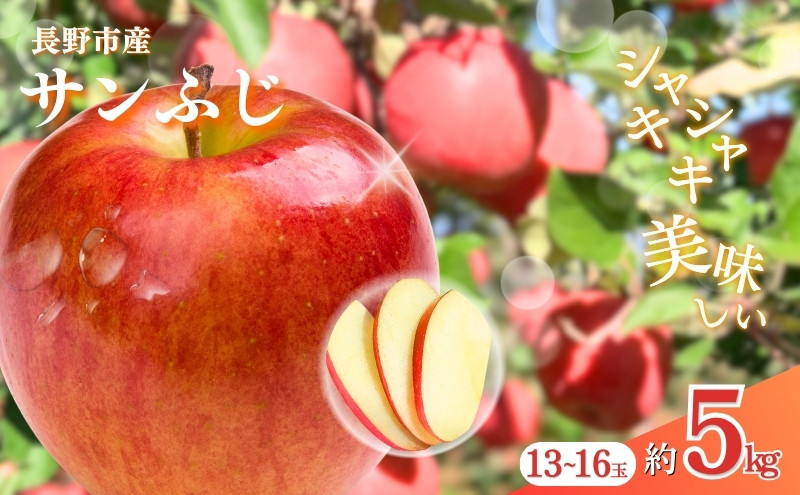 おかべ農園　長野市産サンふじ 約5kg(13～16玉)【2026年12月上旬頃発送予定】OKABE fruits | フルーツ サンふじ りんご 林檎 リンゴ 人気 おすすめ 果物 贈答用  長野県 長野市 信州 信濃 ふるさと納税