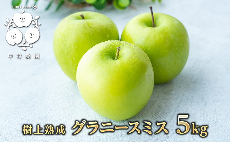 フルーツファーム中村農園　【10月下旬発送 先行予約】樹上熟成　グラニースミス 5kg |  りんご グラニースミス グリーンアップル 林檎 アップルパイ ジャム 加工用 生食用 果物 フルーツ 青りんご 料理用 製菓用 送料無料 長野県 長野市 信州 信濃 ふるさと納税