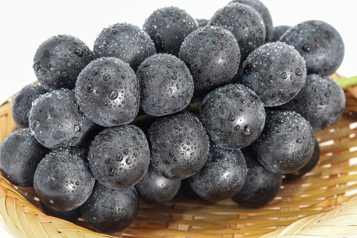 ナガノパープル約1kg 以上【2026年9月以降発送予定】(さらしな青果) |  ぶどう ナガノパープル  オリジナル 人気 おすすめ 葡萄 ブドウ フルーツ 果物 種なし 皮ごと 大粒 旬 ギフト プレゼント 長野県 長野市 信州 信濃 ふるさと納税
