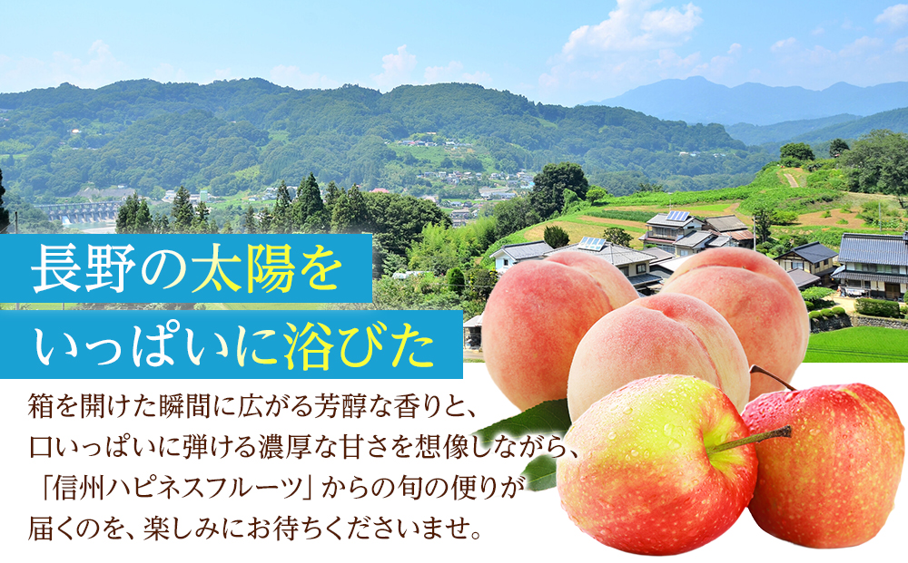 【訳あり】シナノスイート 3kg 長野市産 産地よりお届け 信州りんご｜ りんご シナノスイート 訳あり 長野市産 人気 おすすめ フルーツ 果物 林檎 家庭用 加工用 旬 産地直送 長野県 長野市 信州 信濃 ふるさと納税