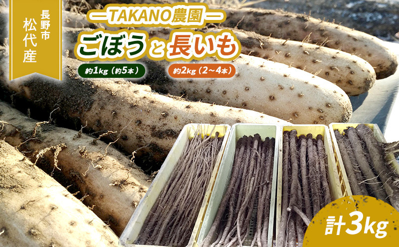 高野農園　長野市松代産 TAKANO農園　ごぼう（約1kg）【約5本】と長いも（約2kg）【2～4本】計3kg 野菜 根菜 長野県産 ネバネバ シャキシャキ とろろご飯 具材 食材 国産 | ながいも 野菜 いも 芋 大容量 人気 おすすめ 根菜 健康 長野県 長野市 信州 信濃 ふるさと納税