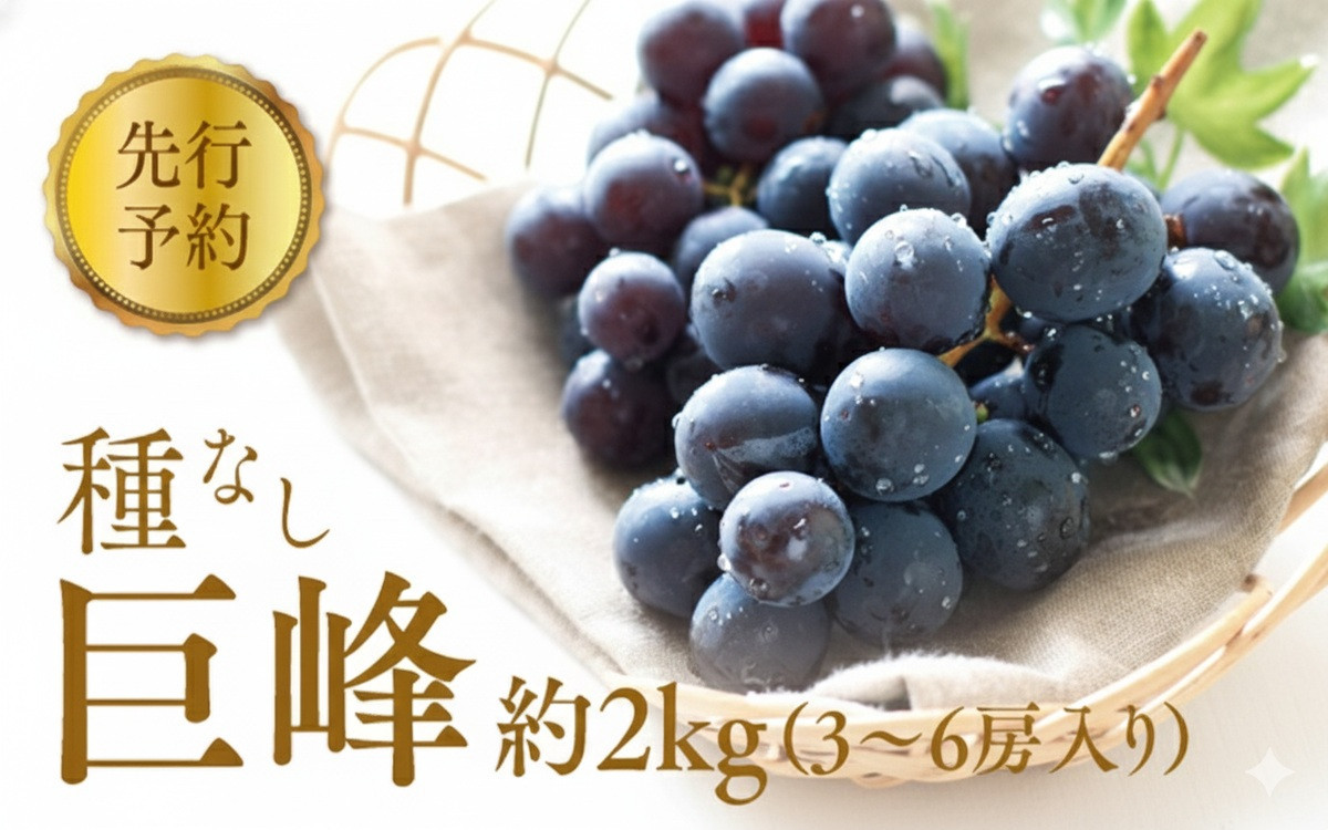 2026年産 ぶどう  種なし 巨峰 約 2kg 箱3～6房入り 巨峰種無し フルーツ 果物 旬 ブドウ 葡萄 おやつ 信州 長野県 長野市 2026年 秋発送 長野県長野市 | 巨峰種無し フルーツ 果物 旬 ブドウ 葡萄 信州 長野県 長野市 2026年 秋発送 長野県長野市 ぶどう 種なし フルーツ 人気 おすすめ   送料無料  長野県 長野市 信州 信濃 ふるさと納税