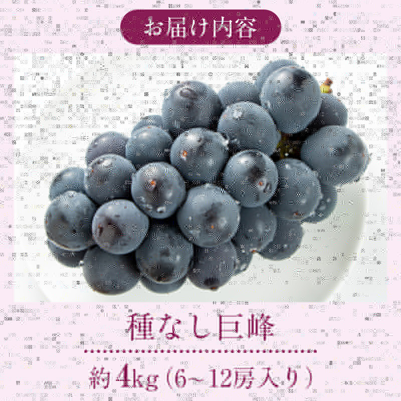 2026幎ç£ã¶ã©ã çš®ãªã å·šå³° çŽ4kg 6ïœ12æ¿å
¥ã æç© ãã㊠è¡è ãã«ãŒã ãã¶ãŒã ããã€ ä¿¡å· 2026幎ç§çºé | æç© ãã㊠è¡è ãã«ãŒã ãã¶ãŒã ã¶ã©ã çš®ãªã ãã«ãŒã äººæ° ãããã éæç¡æ é·éç é·éåž ä¿¡å· ä¿¡æ¿ ãµãããšçŽçš
