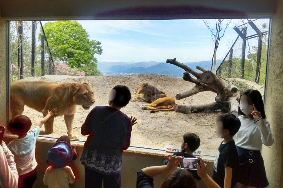 茶臼山動物園再整備プロジェクト