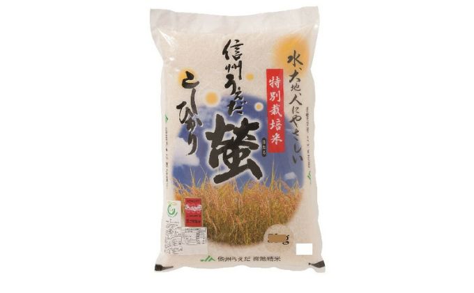 米 コシヒカリ 10kg 特別栽培米 令和7年 お米 白米 精米 単一原料米 ブランド米 銘柄米 10キロ 令和7年産  長野県産 長野 長野県 上田市
