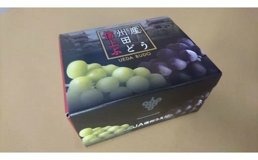 JA信州うえだ「特産 ナガノパープル」2房（約900g以上）