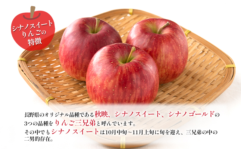 訳あり りんご JA信州うえだ 合戦りんご シナノスイート 約10kg リンゴ 林檎 果物 くだもの フルーツ 信州 長野 離乳食 訳アリ わけあり 傷