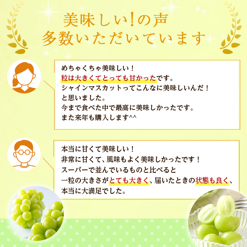 特産 シャインマスカット JA信州うえだ 大房 2房 約1.1kg マスカット 葡萄 ぶどう ブドウ 果物 くだもの フルーツ 信州 長野
