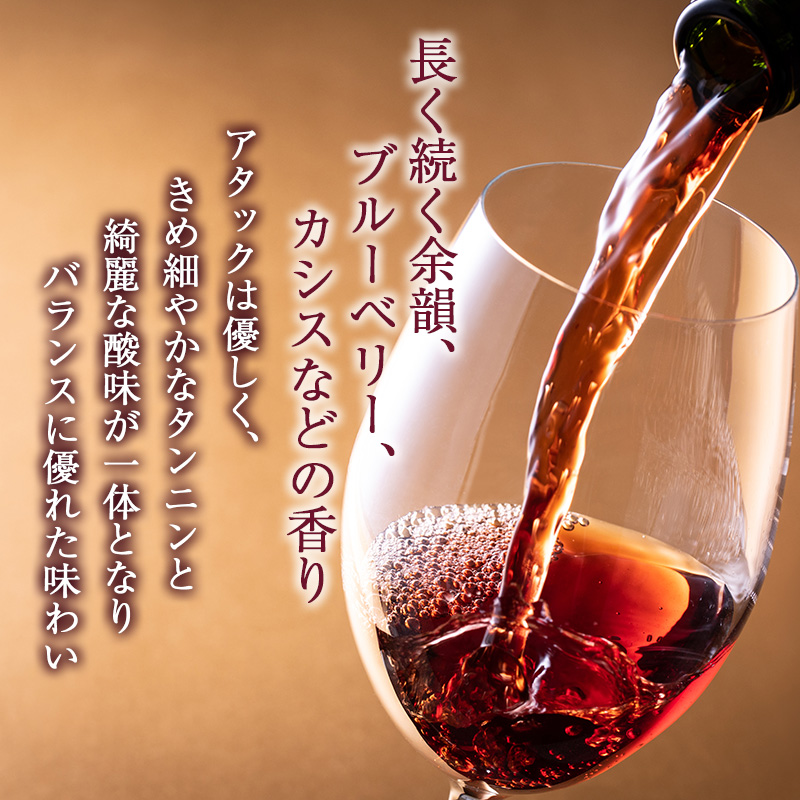 ワイン ソラリス 千曲川 カベルネ・ソーヴィニヨン 6本 セット 赤ワイン 辛口 お酒 酒