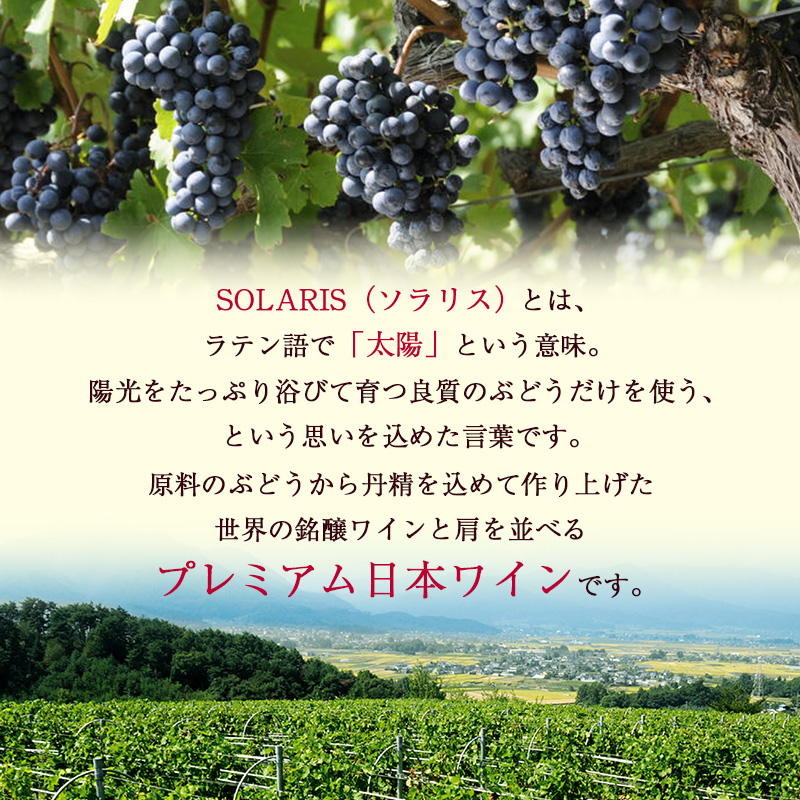 ワイン ソラリス 千曲川 カベルネ・ソーヴィニヨン 6本 セット 赤ワイン 辛口 お酒 酒