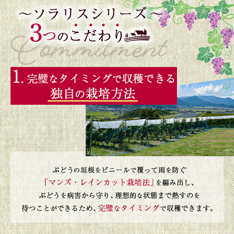 ワイン ソラリス 千曲川 カベルネ・ソーヴィニヨン 6本 セット 赤ワイン 辛口 お酒 酒