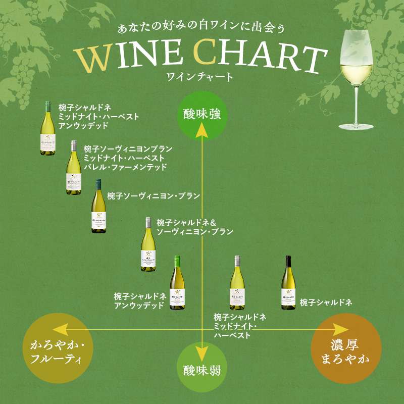 繝ッ繧、繝ウ 讀蟄舌す繝」繝ォ繝峨ロ 逋ス繝ッ繧、繝ウ 霎帛哨 750ml 1譛ャ 縺企 驟 繧「繝ォ繧ウ繝シ繝ォ