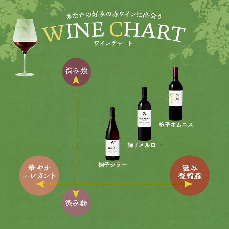 ワイン 椀子オムニス 赤ワイン フルボディ 750ml 1本 お酒 酒 アルコール