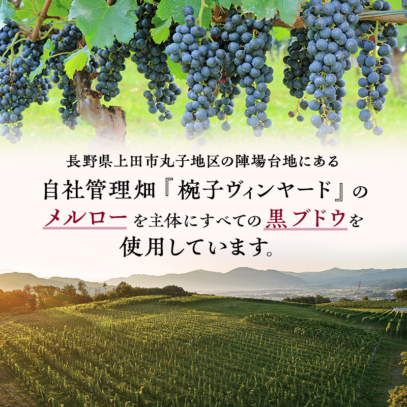 ワイン 椀子オムニス 赤ワイン フルボディ 750ml 1本 お酒 酒 アルコール