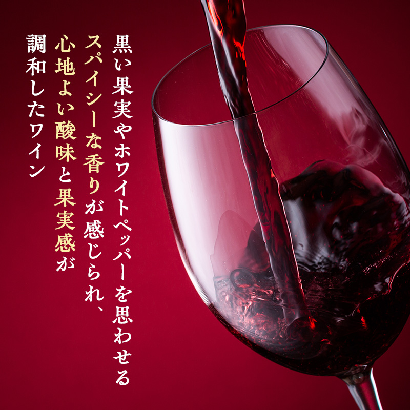 繝ッ繧、繝ウ 讀蟄舌す繝ゥ繝シ 750ml 繧キ繝」繝医シ繝サ繝。繝ォ繧キ繝」繝ウ 繧キ繝ゥ繝シ 襍、繝ッ繧、繝ウ 繝輔Ν繝懊ョ繧」 縺企 驟 繧「繝ォ繧ウ繝シ繝ォ 繧ョ繝輔ヨ 雍医j迚ゥ 繝励Ξ繧シ繝ウ繝