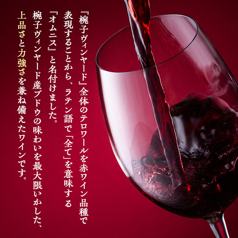 ã¯ã€ã³ æ€åãªã ãã¹ èµ€ã¯ã€ã³ ãã«ãã㣠750ml 3æ¬ ãé
é
ã¢ã«ã³ãŒã«