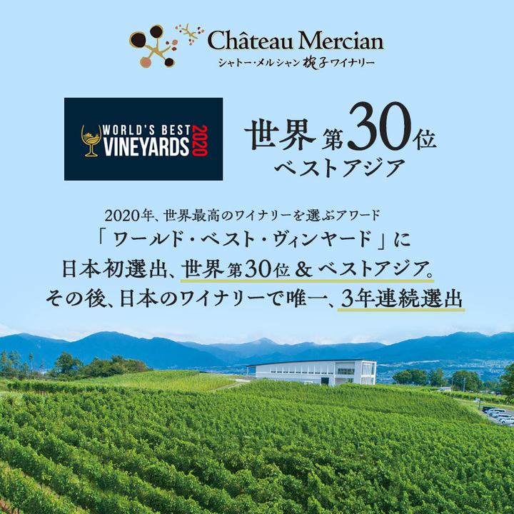 ワイン 椀子ヴィンヤードを味わう 定番 2本 セット 赤ワイン 白ワイン 酒 アルコール