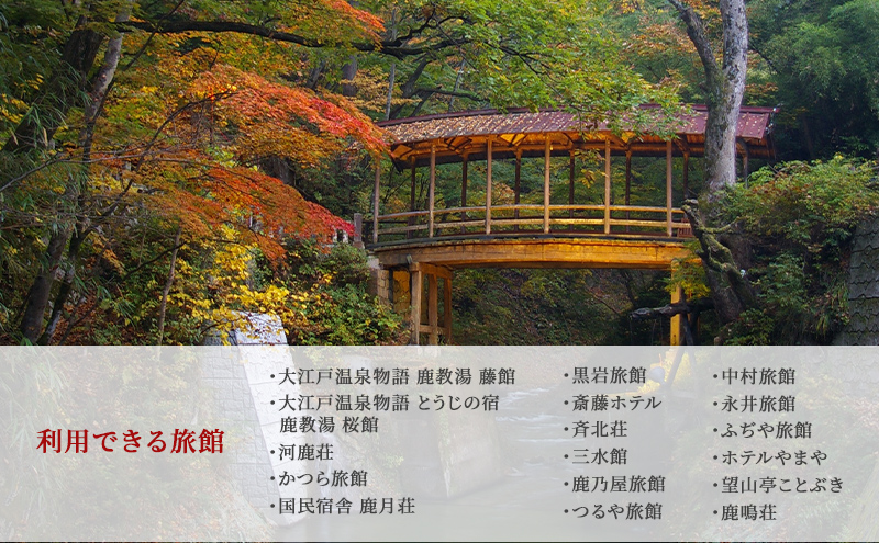 旅行 長野 信州 鹿教湯温泉 宿泊 補助券 50枚セット 150,000円 温泉 旅館 旅行券 宿泊券 施設利用券 利用券 トラベル チケット ホテル券 ホテルクーポン ホテル 長野県