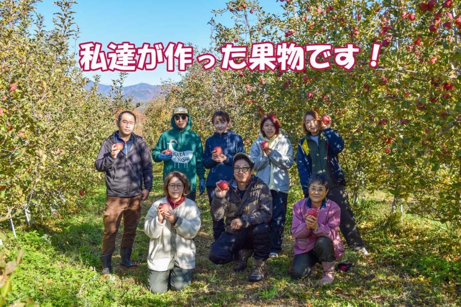 【2026年産】 シャキシャキ葉とらず ふじりんご 約3kg (5～12玉) サンふじ りんご リンゴ 果物 フルーツ 旬の果物 信州 長野 上田【特別栽培農産物】【長野県産】