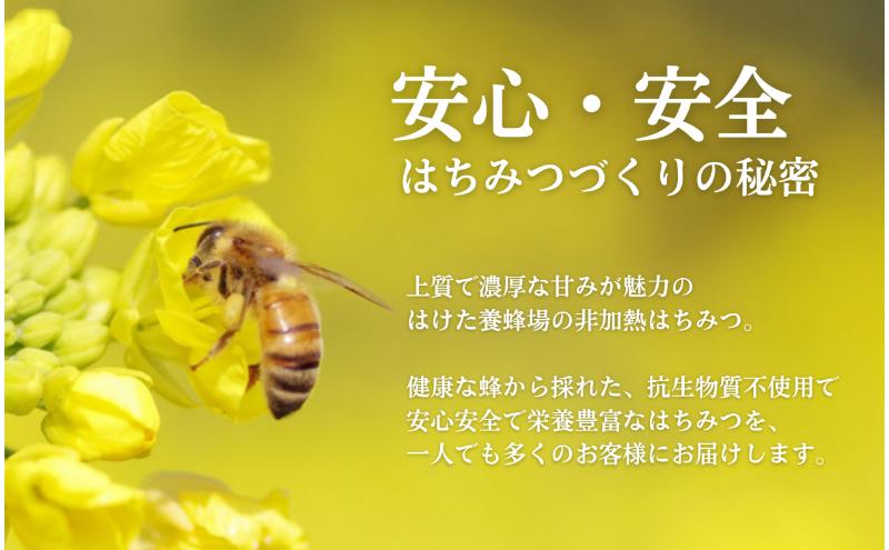国産 生はちみつ 300g 2本セット くり ソバ セット 詰め合わせ 国産はちみつ 国産ハチミツ 天然蜂蜜 はちみつ 蜂蜜 ハニー 天然国産 非加熱 食べ比べ 食べ比べセット 信州産 長野県産 信州 長野 長野県 上田市