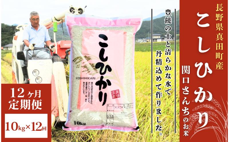 米 令和7年産 定期便 12ヵ月 コシヒカリ 関口さんちのお米 10kg お米 白米 ブランド米 定期 12回