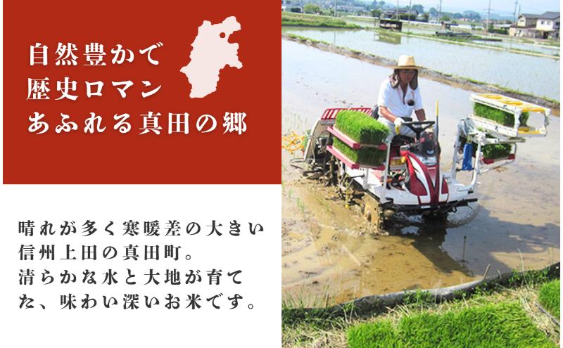 米 令和7年産 コシヒカリ 関口さんちのお米 20kg 1回 回数 お米 精米 白米 ブランド米 ご飯