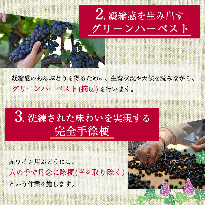ワイン ソラリス 千曲川 カベルネ・ソーヴィニヨン 6本 セット 赤ワイン 辛口 お酒 酒