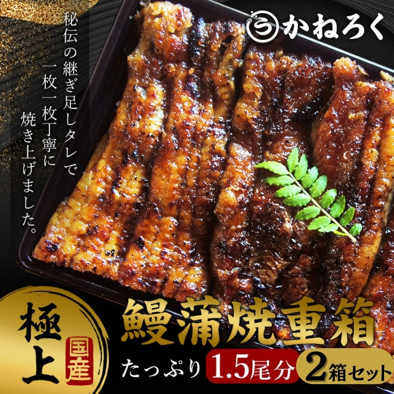 鰻蒲焼重箱「極上」2個セット 山椒・漬物付き　ギフト ウナギ 鰻 蒲焼 国産 国内産 プレゼント 誕生日 お歳暮 上田市 コシヒカリ グルメ 贅沢