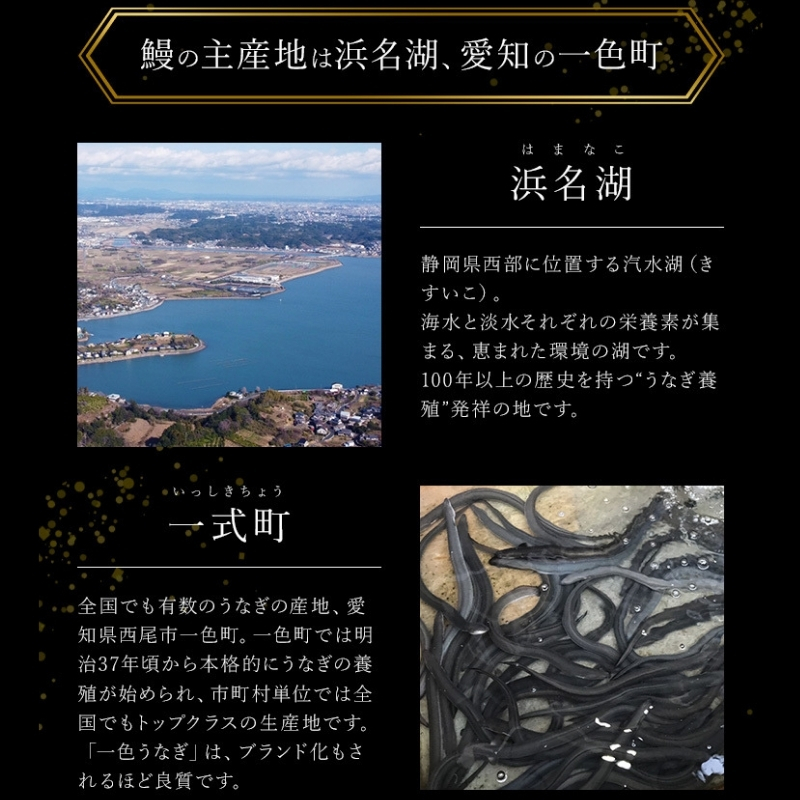 鰻蒲焼重箱「上」4個セット 山椒・漬物付き　ギフト ウナギ 鰻 蒲焼 国産 国内産 プレゼント 誕生日 お歳暮 上田市 コシヒカリ グルメ 贅沢