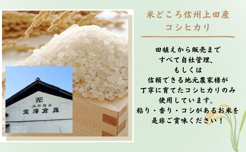 米 厳選 コシヒカリ 仁米 10kg お米 白米 精米 単一原料米 ブランド米 銘柄米 10キロ 令和7年産 長野県産 長野 長野県 上田市
