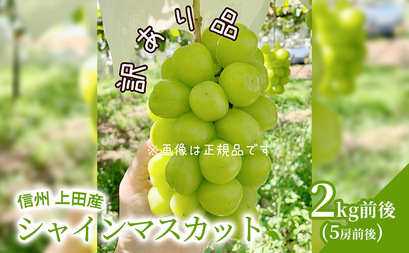 【2026年産】 訳あり シャインマスカット 2kg前後 5房前後 ぶどう 葡萄 ブドウ マスカット 2kg 果物 くだもの フルーツ デザート 旬の果物 旬のフルーツ 訳アリ 長野県 長野