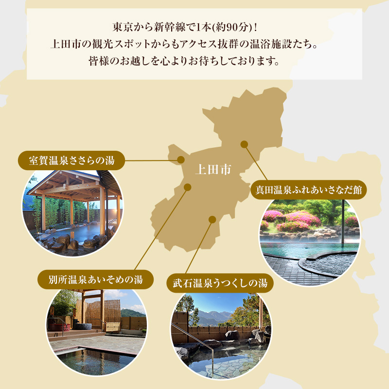 旅行 長野 温泉施設 4館共通 入館券 11枚組 家族・友人で利用しやすい 上田市内 日帰り 温泉 施設利用券 利用券 トラベル チケット 旅行券 長野県