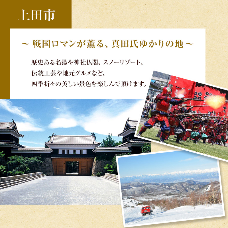 旅行 長野 温泉施設 4館共通 入館券 11枚組 家族・友人で利用しやすい 上田市内 日帰り 温泉 施設利用券 利用券 トラベル チケット 旅行券 長野県