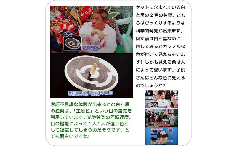 木のおもちゃ/美しい色遊び独楽(12個セット)psc 綺麗な木のおもちゃ 日本グッド・トイ受賞おもちゃ 知育玩具 おしゃれ プレゼント ランキング 幼児 子供 高齢者 小学生 誕生日ギフト 出産祝い 木製 玩具 玩具療法