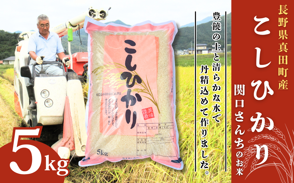 米 令和7年産 コシヒカリ 関口さんちのお米 5kg 1回 回数 お米 精米 白米 ブランド米 ご飯