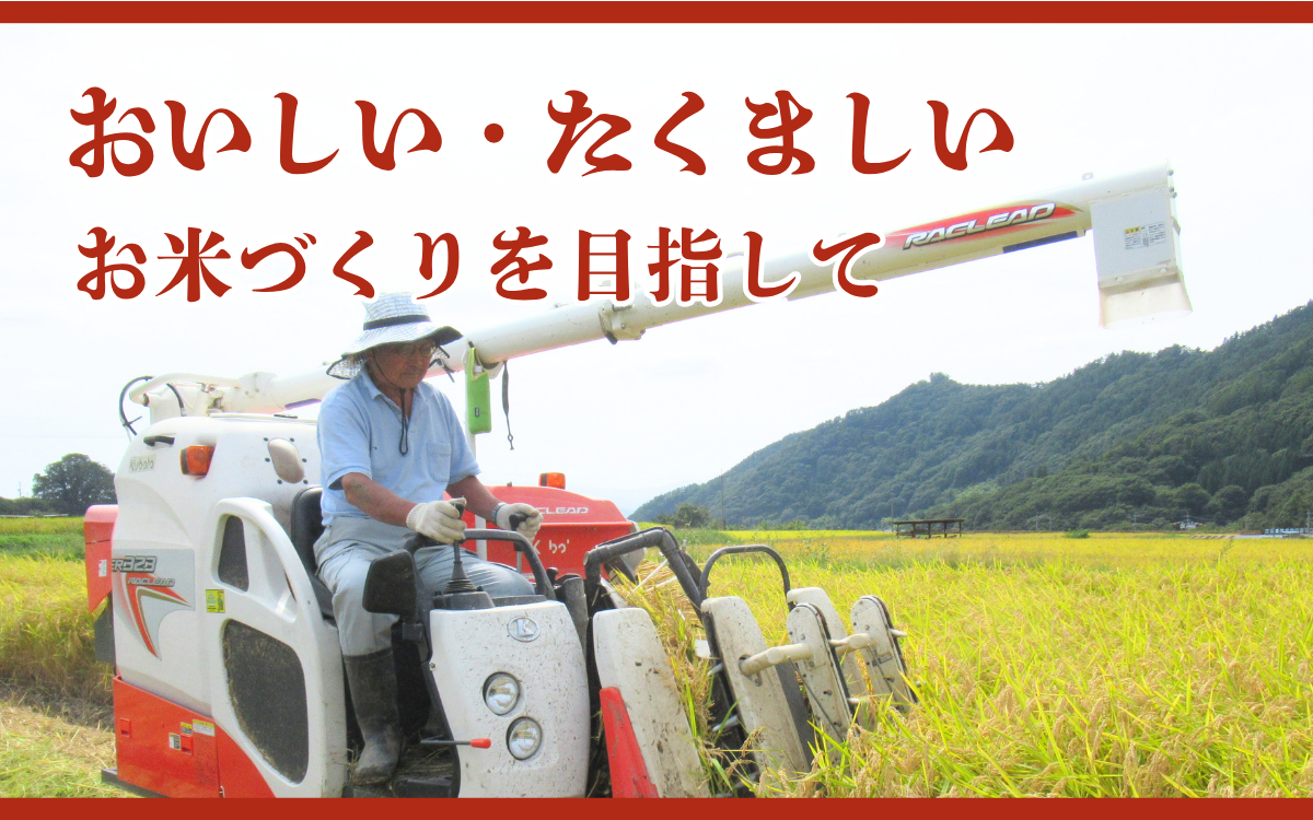 米 令和7年産 コシヒカリ 関口さんちのお米 5kg 1回 回数 お米 精米 白米 ブランド米 ご飯