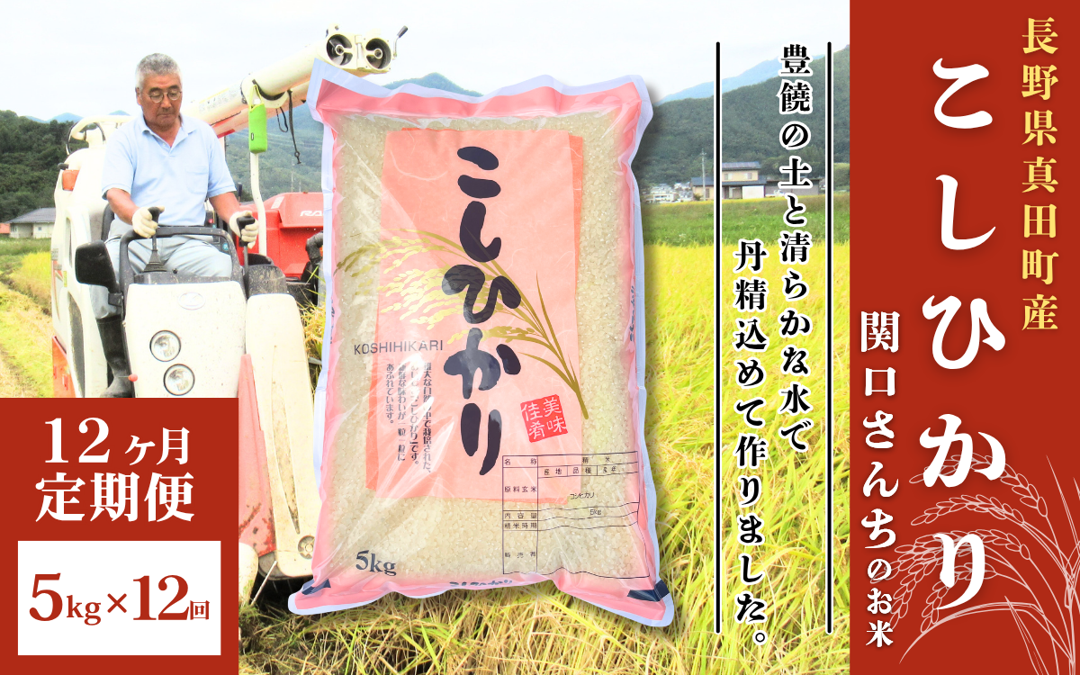 米 令和7年産 定期便 12ヵ月 コシヒカリ 関口さんちのお米 5kg お米 白米 ブランド米 定期 12回
