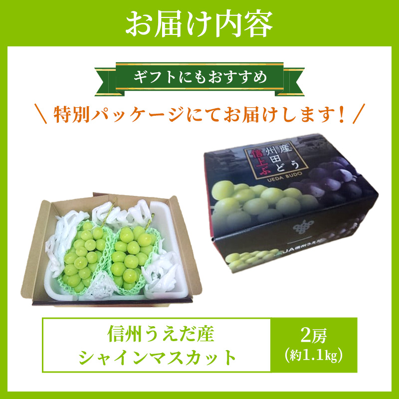 特産 シャインマスカット JA信州うえだ 大房 2房 約1.1kg マスカット 葡萄 ぶどう ブドウ 果物 くだもの フルーツ 信州 長野