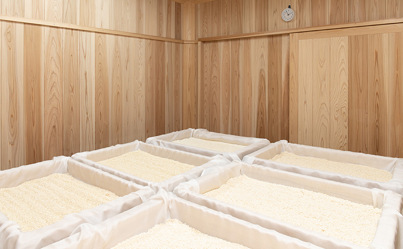 半熟味噌 ポリ樽 3kg 簡単 手作り味噌 樽 みそ 味噌 ミソ みそ 信州味噌 信州みそ みそ汁 味噌汁 みそ炒め 調味料 米みそ 米味噌 長野 長野県 上田市