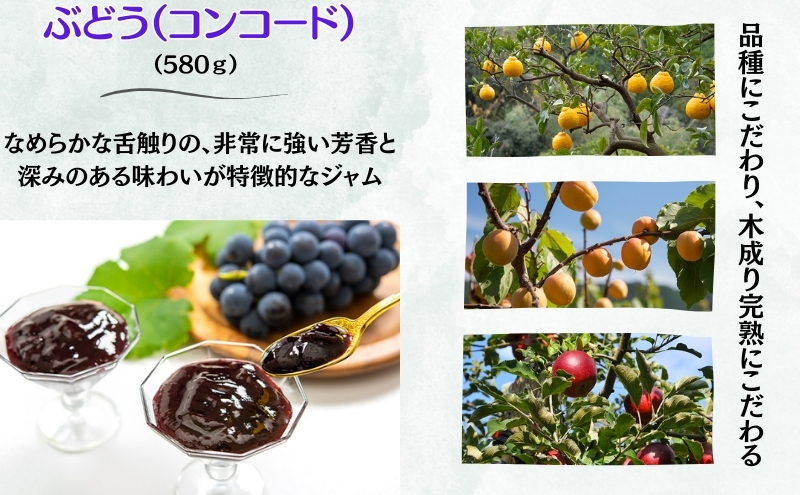 ジャム 四季のジャム 詰め合わせ 5個入り Lセット 580g×5個 フルーツジャム セット