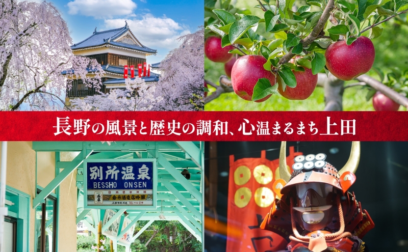 長野県  切れてない 白菜 キムチ 一本漬け 中辛 2kg 白菜キムチ 国産 発酵 漬物 ご飯のお供 おかず おつまみ キムチ鍋 豚キムチ ギフト 韓国 キムフーズ 信州 送料無料 上田